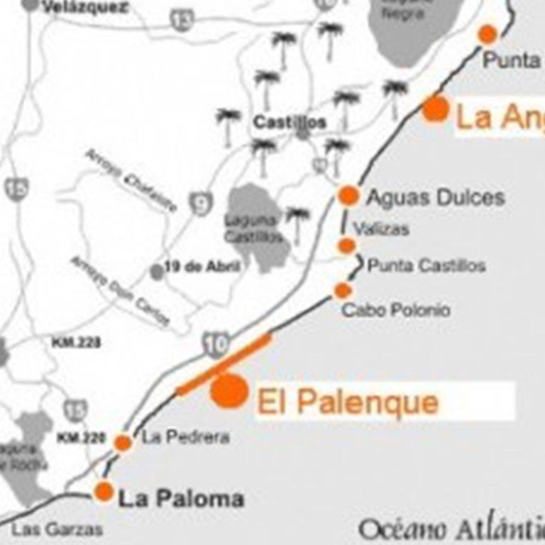 Rocha-ruffles-feathers-in-Brazil