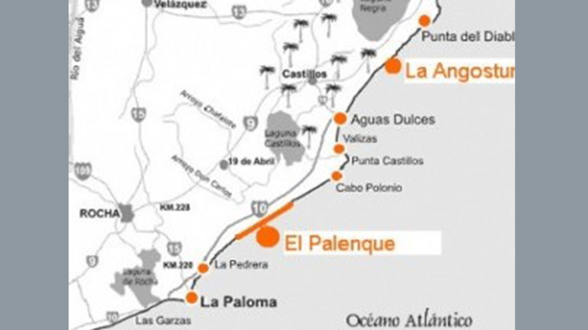 Rocha-ruffles-feathers-in-Brazil